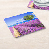 Prachtig lavendelveld in de Provence, Frankrijk Kartonnen Onderzetters (Schuin)