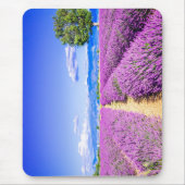 Prachtig lavendelveld in de Provence Muismat (Voorkant)