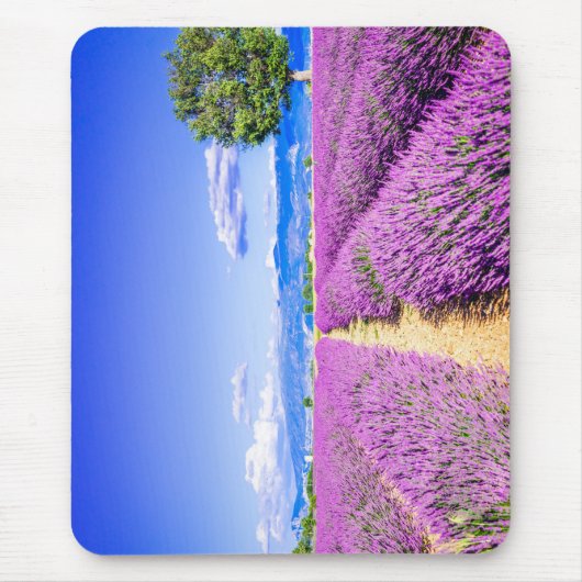 Prachtig lavendelveld in de Provence Muismat (Voorkant)