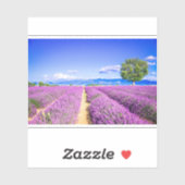 Prachtig lavendelveld in de Provence Sticker (Vel)