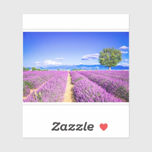 Prachtig lavendelveld in de Provence Sticker (Vel)