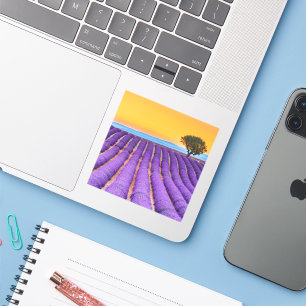 Prachtig lavendelveld in de Provence Sticker