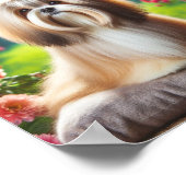 prachtig Lhasa Apso Poster (Hoek)