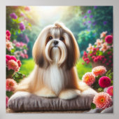 prachtig Lhasa Apso Poster (Voorkant)