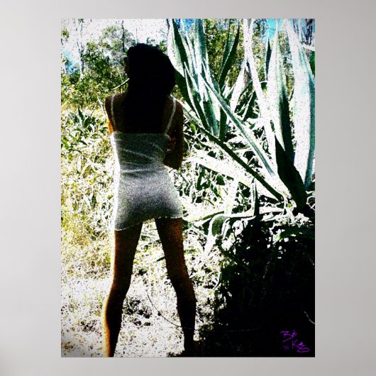 Prachtig licht Poster (Voorkant)