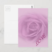 Prachtig Lila Roos Briefkaart (Voorkant / Achterkant)