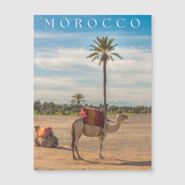 Prachtig Marrakech Camel Desert Avontuur (Voorkant)