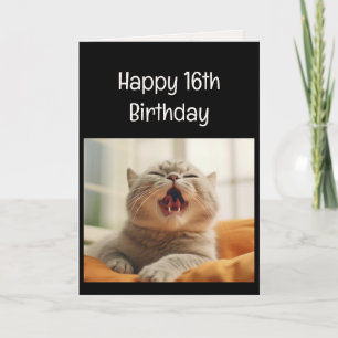 Prachtig Miauwend Kitten 16e Verjaardag Dier Humor Kaart