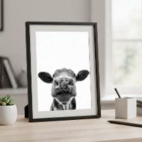 Prachtig moderne zwart-wit koe rustieke boerderij