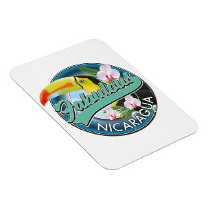 Prachtig Nicaragua toekan logo Magneet