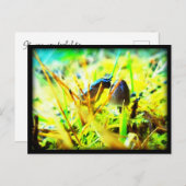 Prachtig om je te ontmoeten Slug en paddenstoel fo Briefkaart (Voorkant / Achterkant)