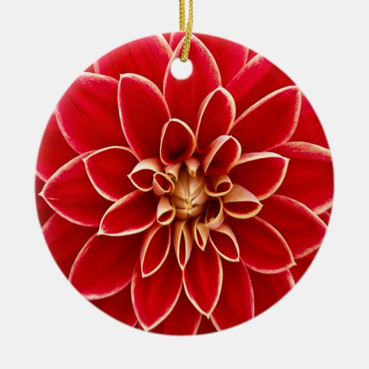 Prachtig ontwerp van Dahlia Flower Petals Keramisch Ornament (Voorkant)