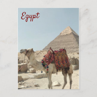Prachtig oosterse, Pyramids Camel Egypt briefkaart