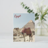 Prachtig oosterse, Pyramids Camel Egypt briefkaart (Staand voorkant)