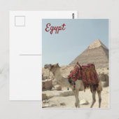 Prachtig oosterse, Pyramids Camel Egypt briefkaart (Voorkant / Achterkant)