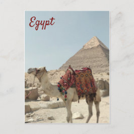 Prachtig oosterse, Pyramids Camel Egypt briefkaart
