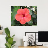 Prachtig Oranje Hibiscus Flower Poster (Thuiskantoor)