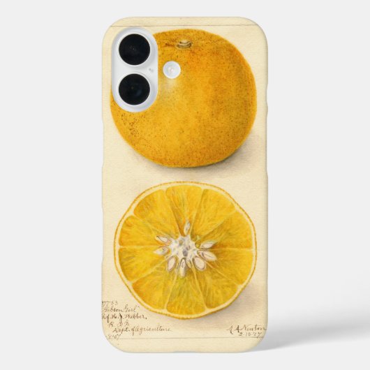 Prachtig Oranje kunstwerk Case-Mate iPhone Case (Achterkant)