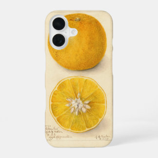 Prachtig Oranje kunstwerk iPhone 16 Hoesje
