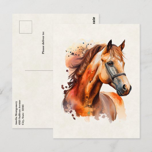Prachtig paard portret briefkaart (Voorkant / Achterkant)