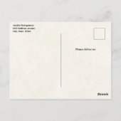 Prachtig paard portret briefkaart (Achterkant)