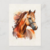 Prachtig paard portret briefkaart (Voorkant)