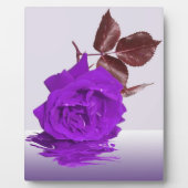 Prachtig Paars Roos Foto Plaque Fotoplaat (Voorkant)