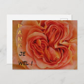 Prachtig Pastel Roos Dank je wel Briefkaart (Voorkant / Achterkant)