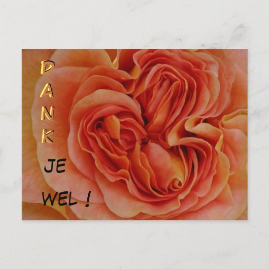 Prachtig Pastel Roos Dank je wel Briefkaart (Voorkant)