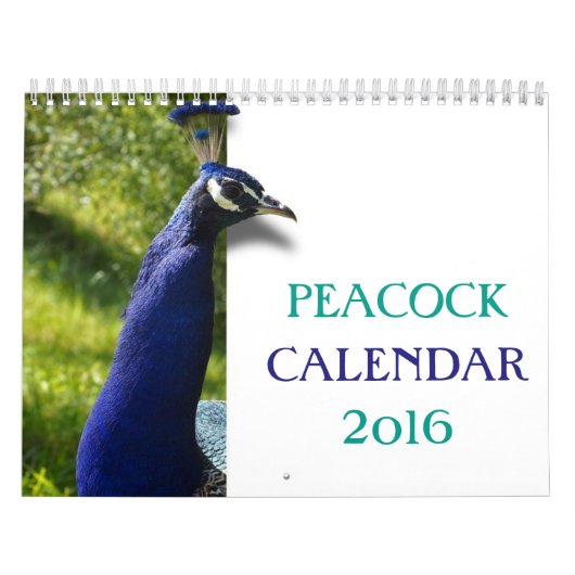 Prachtig Peacock 2016 Kalender (Hoes)