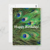 Prachtig Peacock  Briefkaart van de Dag (Voorkant / Achterkant)