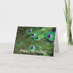 Prachtig Peacock Briefkaart van de Dag