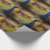Prachtig Peacock foto inpakpapier (Hoek)