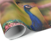 Prachtig Peacock foto inpakpapier (Rol Hoek)