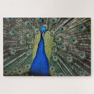 Prachtig Peacock profiel Legpuzzel