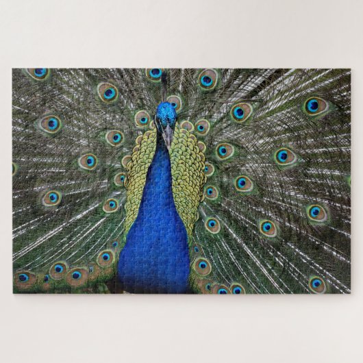 Prachtig Peacock profiel Legpuzzel (Horizontaal)
