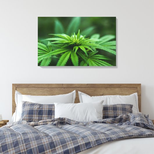 Prachtig Plant Canvas Afdruk (Insitu (Slaapkamer))