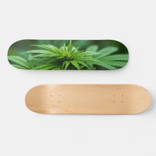 Prachtig Plant Persoonlijk Skateboard (Horizontaal)