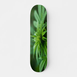 Prachtig Plant Persoonlijk Skateboard