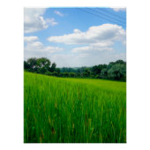 Prachtig platteland perfect poster (Voorkant)