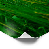 Prachtig platteland perfect poster (Hoek)