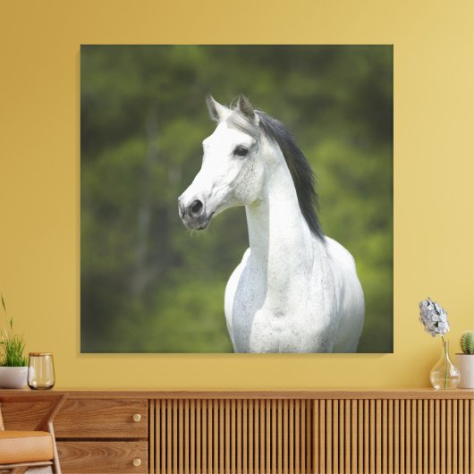Prachtig portret van wit paard met groene achtergr canvas afdruk (Insitu (Woonkamer))