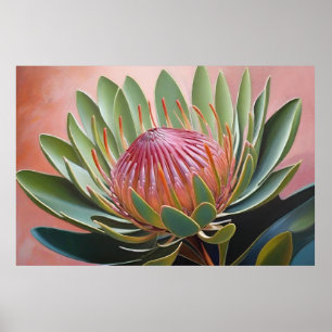 Prachtig Protea schilderij Levendige bloemen Poster