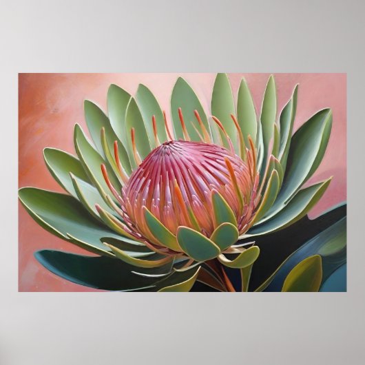 Prachtig Protea schilderij Levendige bloemen Poster (Voorkant)