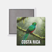 Prachtig Quetzal Monteverde-nevelwoud Magneet (Voorkant / Achterkant)