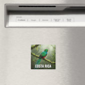 Prachtig Quetzal Monteverde-nevelwoud Magneet (Insitu (Vaatwasser))