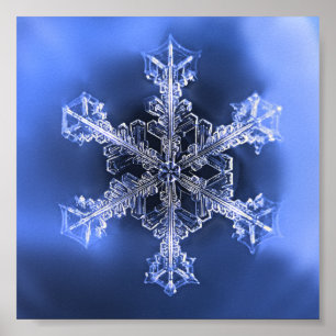 Prachtig Real Snowflake Blue en White Poster