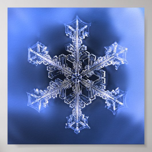 Prachtig Real Snowflake Blue en White Poster (Voorkant)
