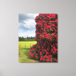 Prachtig Rhododendron en Schilderachtig Uitzicht i Canvas Afdruk