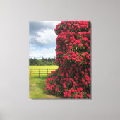 Prachtig Rhododendron en Schilderachtig Uitzicht i Canvas Afdruk (Voorkant)